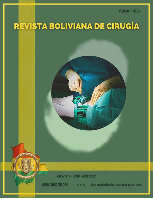 					Ver Vol. 27 Núm. 1 (2022): Revista Boliviana de Cirugía
				
